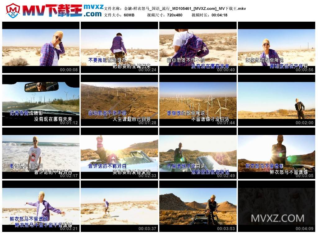 金錿-鲜衣怒马_国语_流行_MD105461